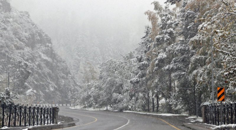 © Николай Колесников