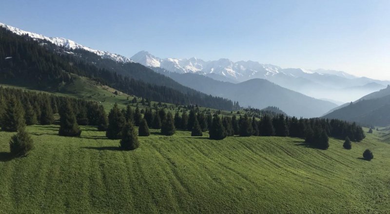 © Айнаш Өндіріс