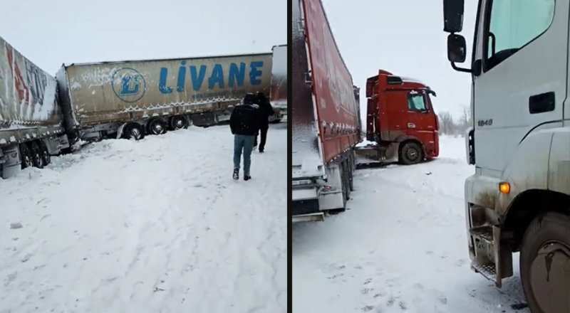 © "Мой город"