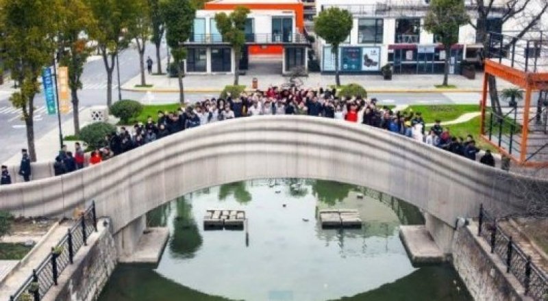 © twitter.com / @Lizzie_Chantree