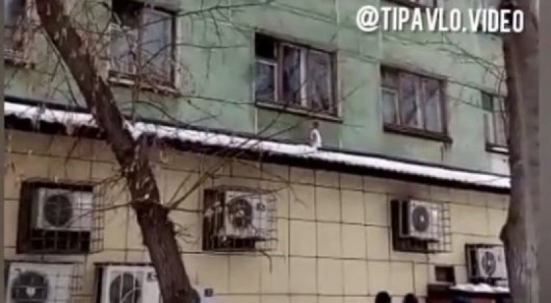 Видеодан алынған кадр