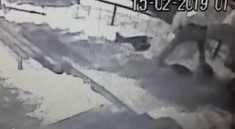 видеодан үзінді