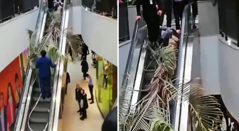 видеодан үзінді