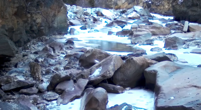 © Орыс географиялық қоғамы