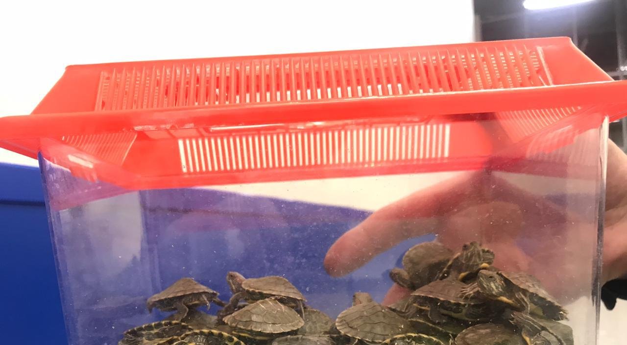 © ҰҚК ШҚ баспасөз қызметі