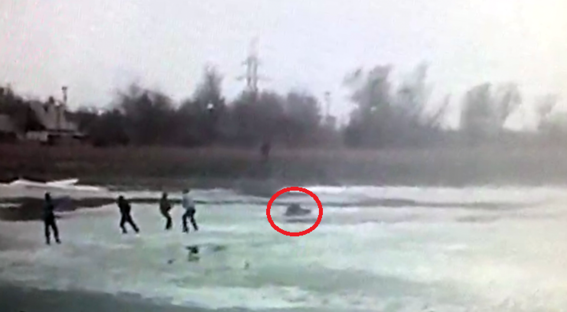 Видео кадрынан