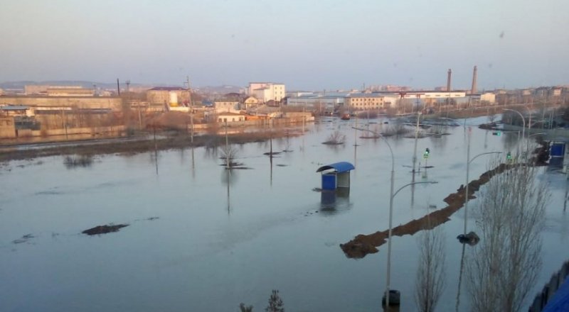 Куәгердің суреті