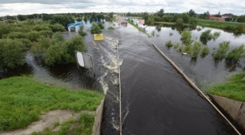 © РИА Новости