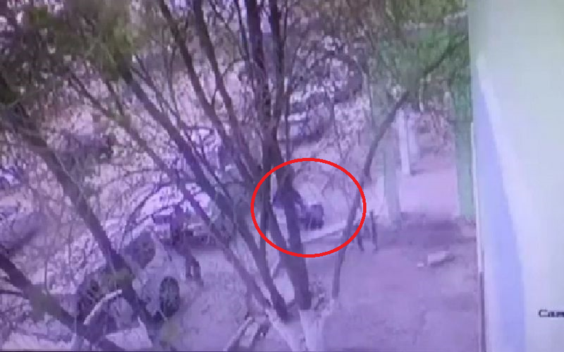 видеодан үзінді