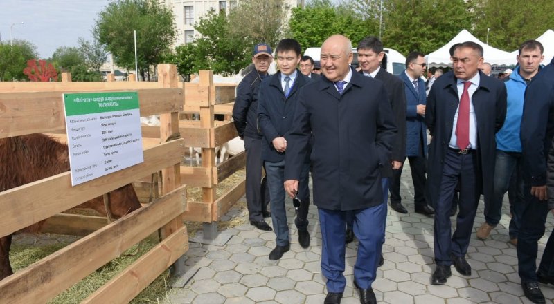 Сурет Түркістан облысы әкімінің баспасөз қызметінен