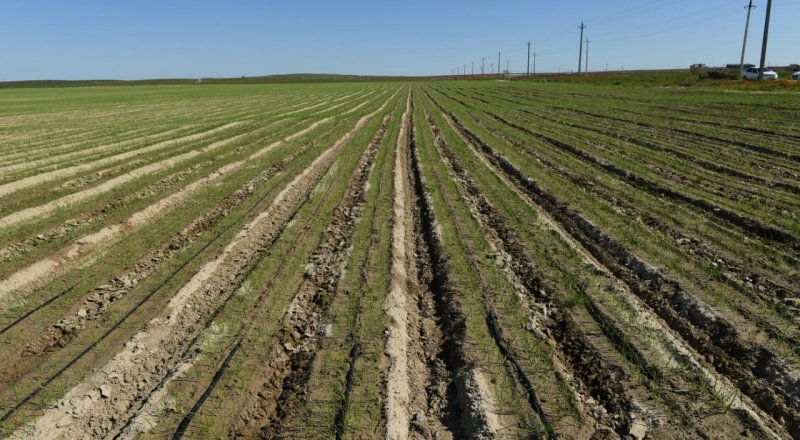 © Самат Мырзалиев