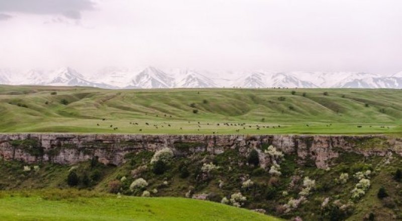 © Турар Казангапов 