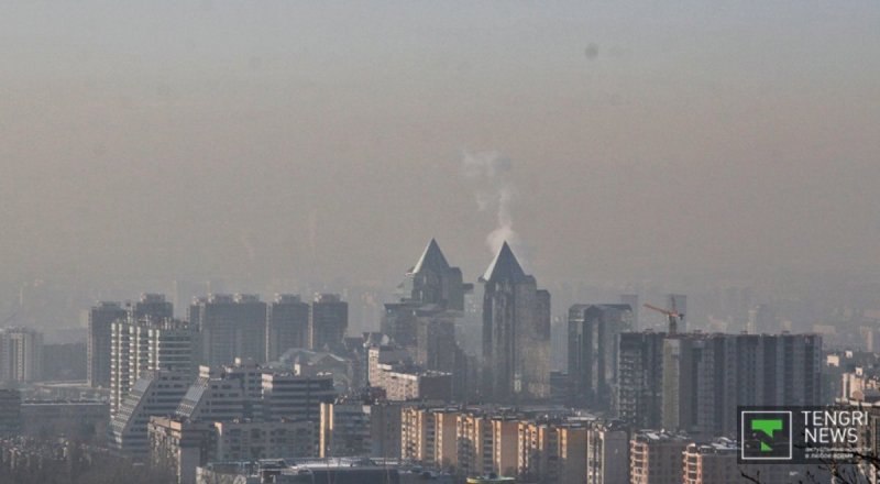 © Николай Колесников