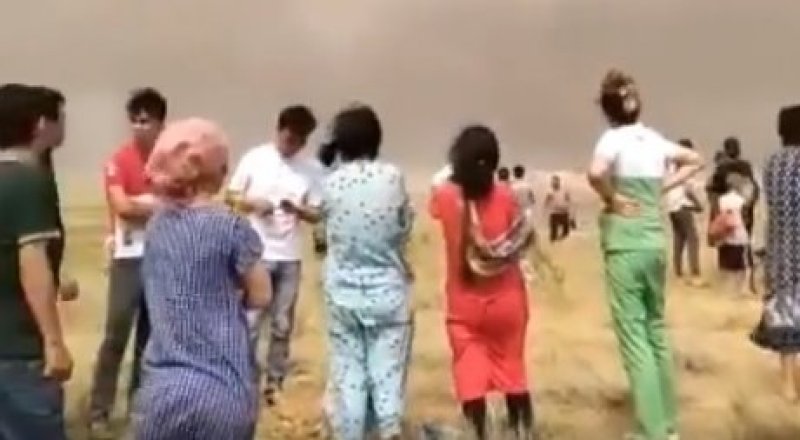 Желіде тарап жақан видеодан скриншот