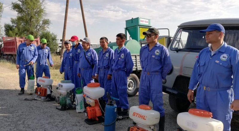 © Түркістан облыстық Өңірлік коммуникациялар қызметі