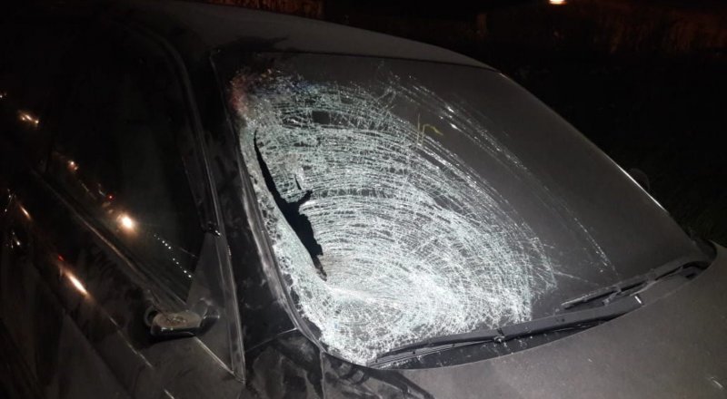 ©  "Территория происшествий" бағдарламасы