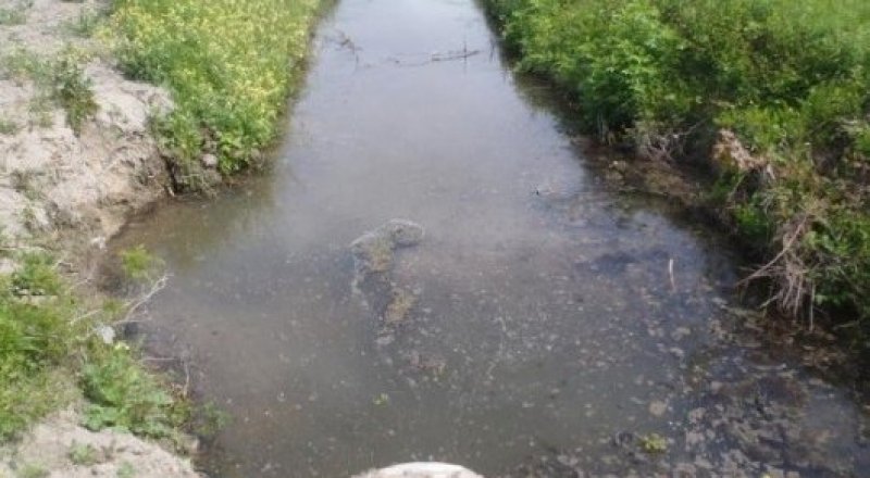 Сурет: Otyrar.kz