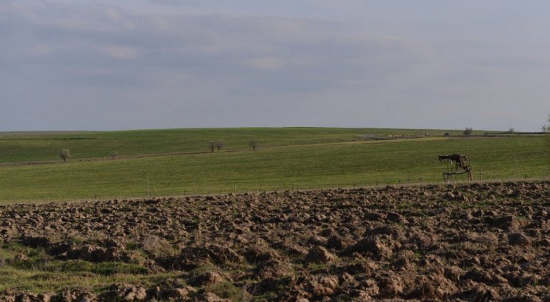 © Тұрар Қазанғапов