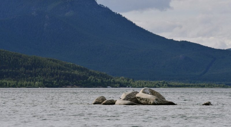 © Тұрар Қазанғапов