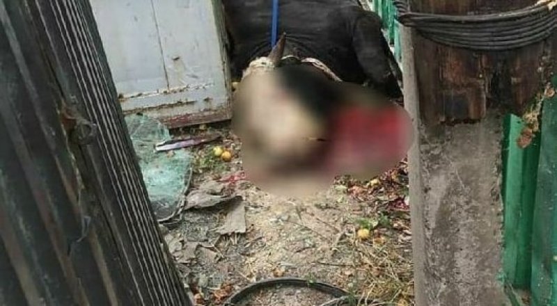 © Instagram.com/almaty_dtp_rezerv