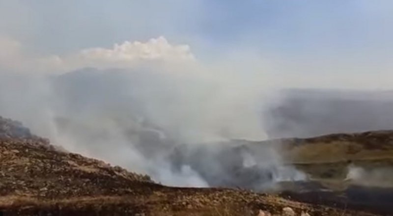 Видео кадры