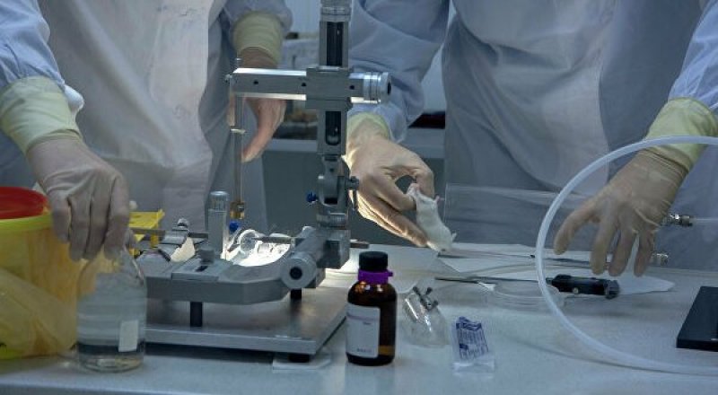 © РИА Новости / Павел Комаров