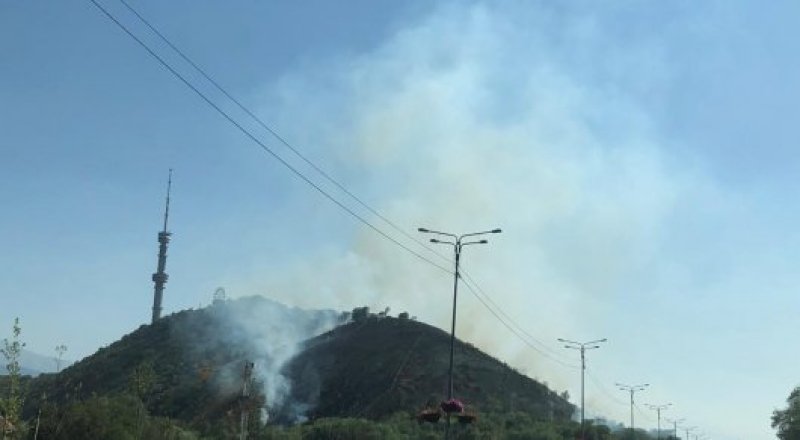 Сурет: Сергей Майборода
 