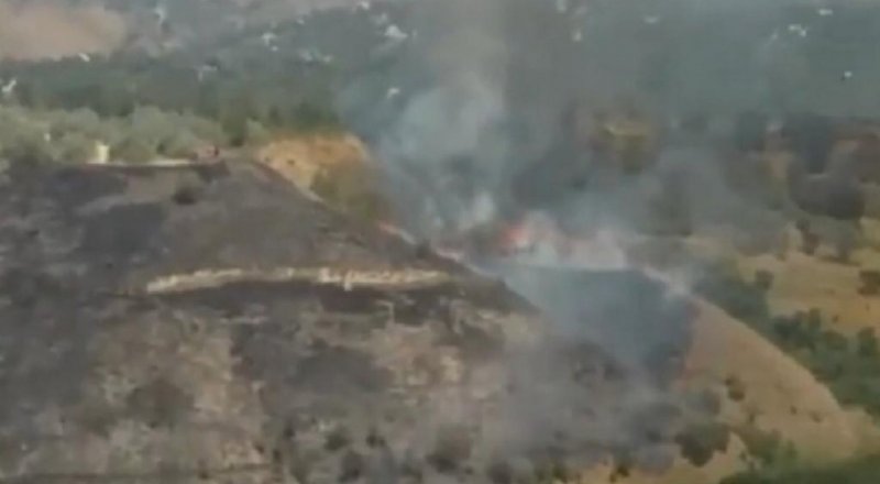 Видеодан алынған кадр