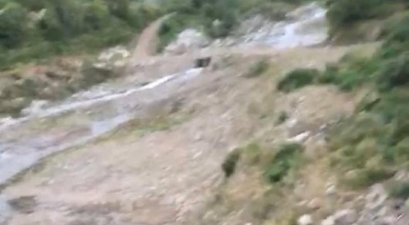 Видеодан алынған кадр 