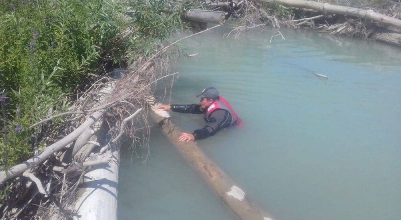 Фото Любовь Кожевникова