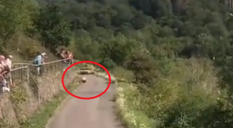 видеодан үзінді