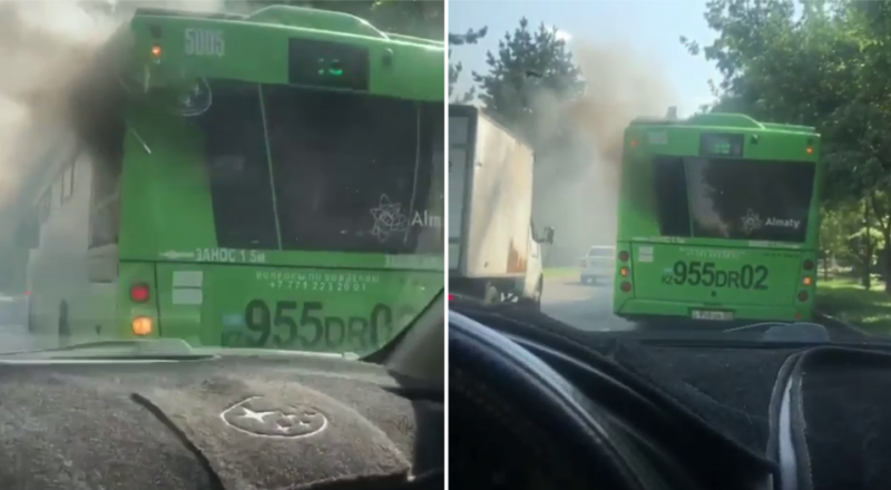 видеодан үзінді