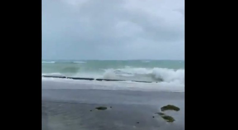 Видеодан алынған кадр