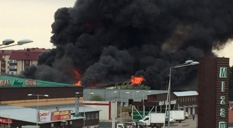 Видеодан алынған кадр 