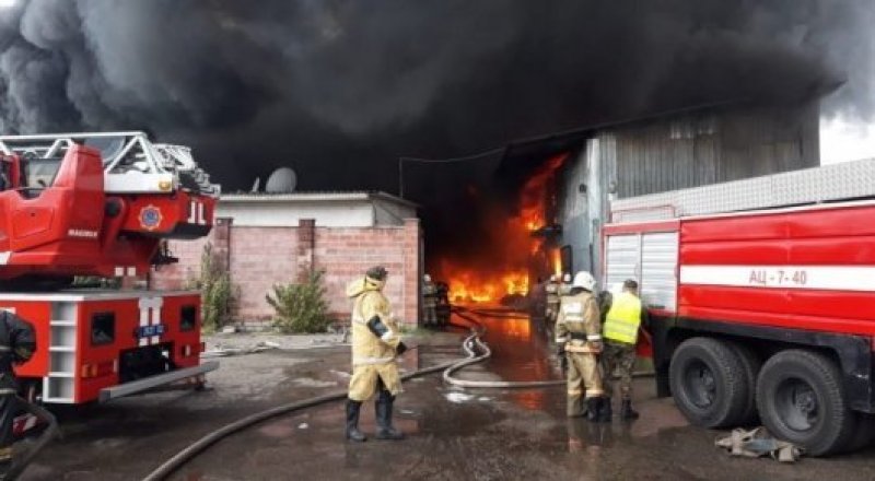 Сурет: Жасұлан Нқрқасымов