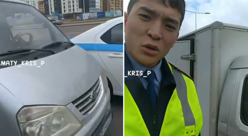 Порно монстрлар жыландар жыландар