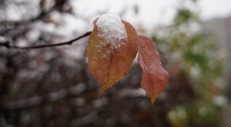 © Тұрар Қазанғапов