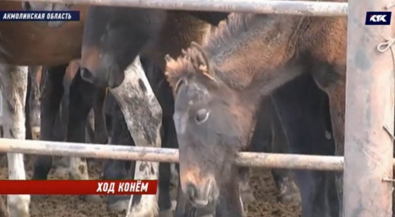 вдеодан үзінді