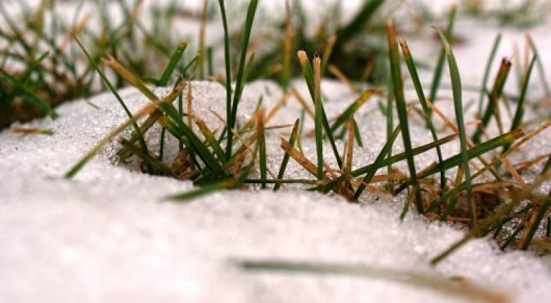 Сурет: pixabay.com