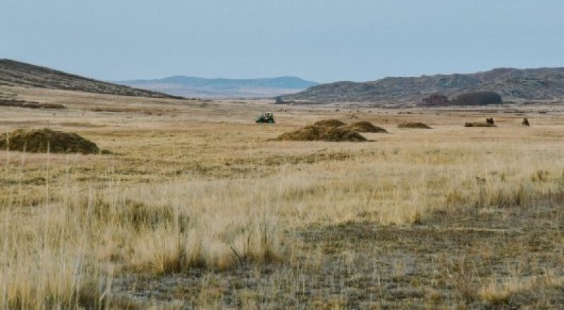 © Тұрар Қазанғапов 