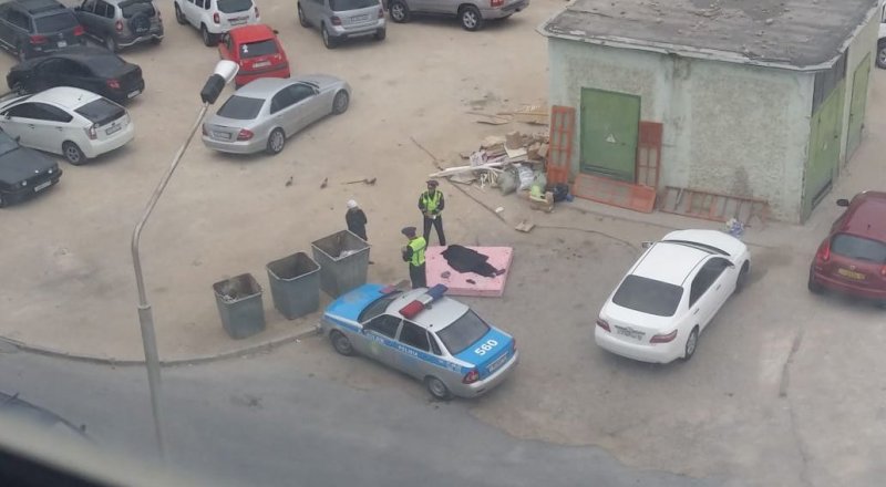 Суретті куәгерлер түсірген 