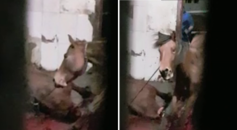 Видео кадры