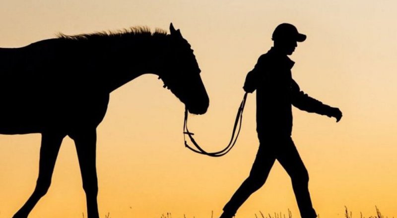 Көрнекі сурет. © pixabay.com