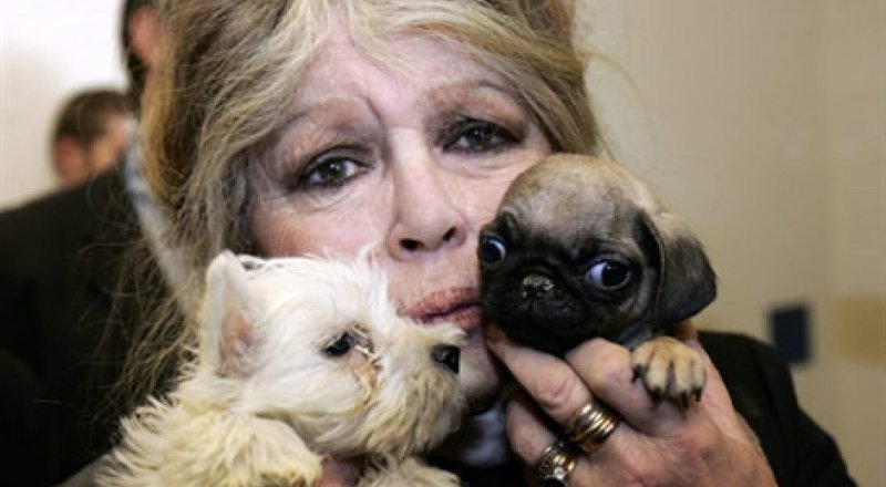 Brigitte Anne-Marie Bardot. Фото AFP©