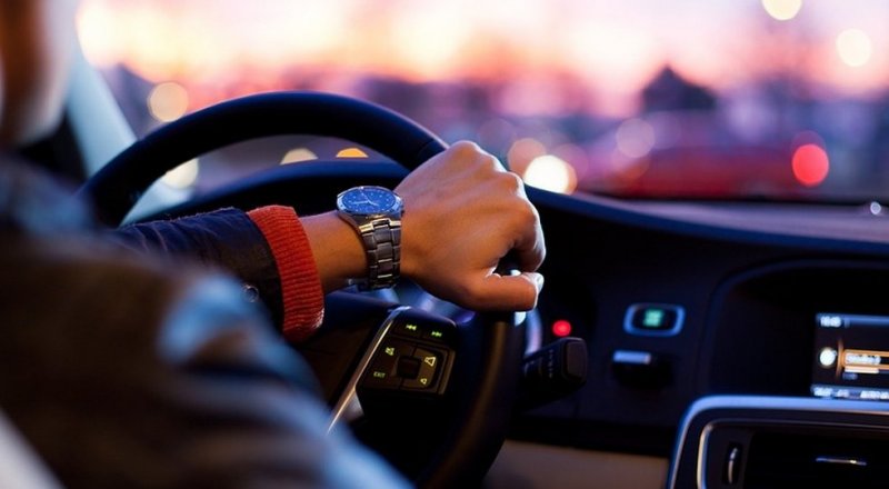 Көрнекі сурет © pixabay.com