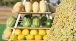 Қазақстанда 5 триллион теңгеге жуық ауыл шаруашылығы өнімдері өндірілген