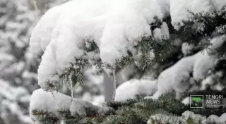 Алдағы күндері ауа райы қандай болады?