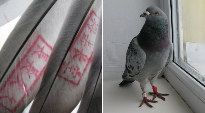 © facebook.com/s.dildakhmet