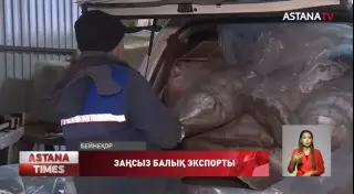 Балықты заңсыз экспорттаған оралдық кәсіпкерлер мемлекетке 5 миллиард теңге зиян келтірген