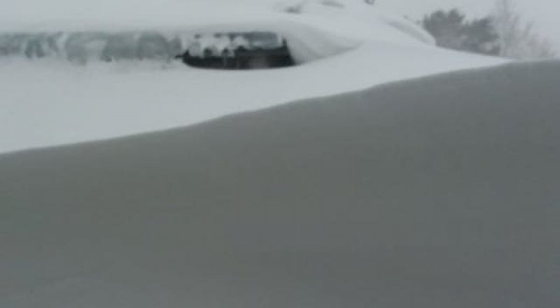 видеодан үзінді